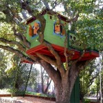 Jak zbudować domek na drzewie?