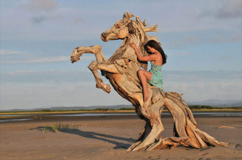 driftwood-sculptures-by-jeffro-uitto-knock-on-wood-11